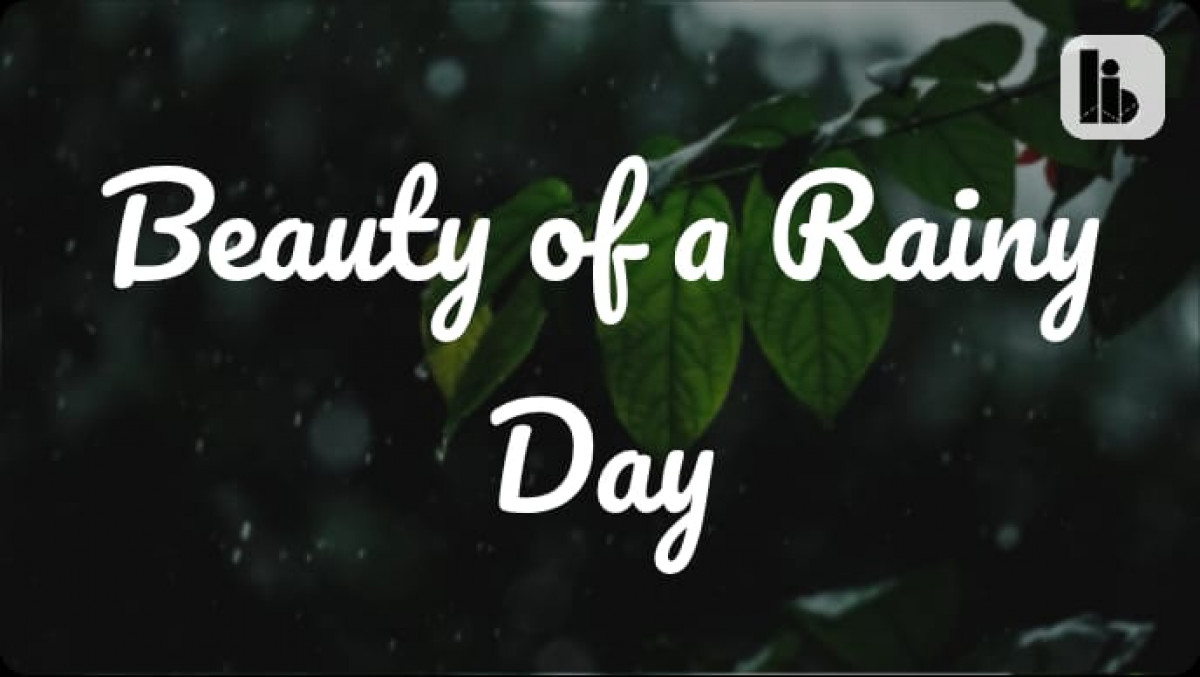 Beauty of a Rainy Day
