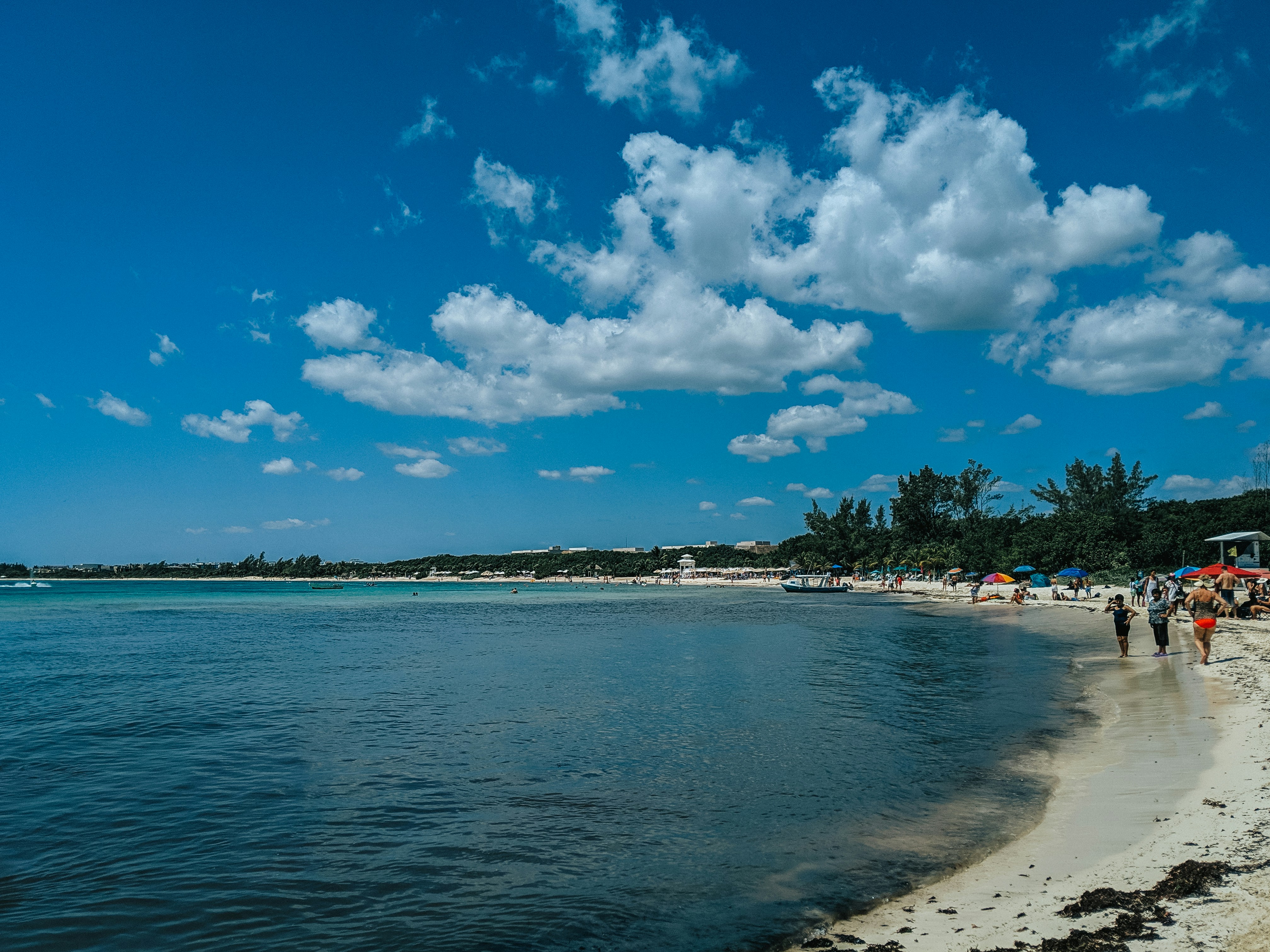 Coral Beach of St. Martin